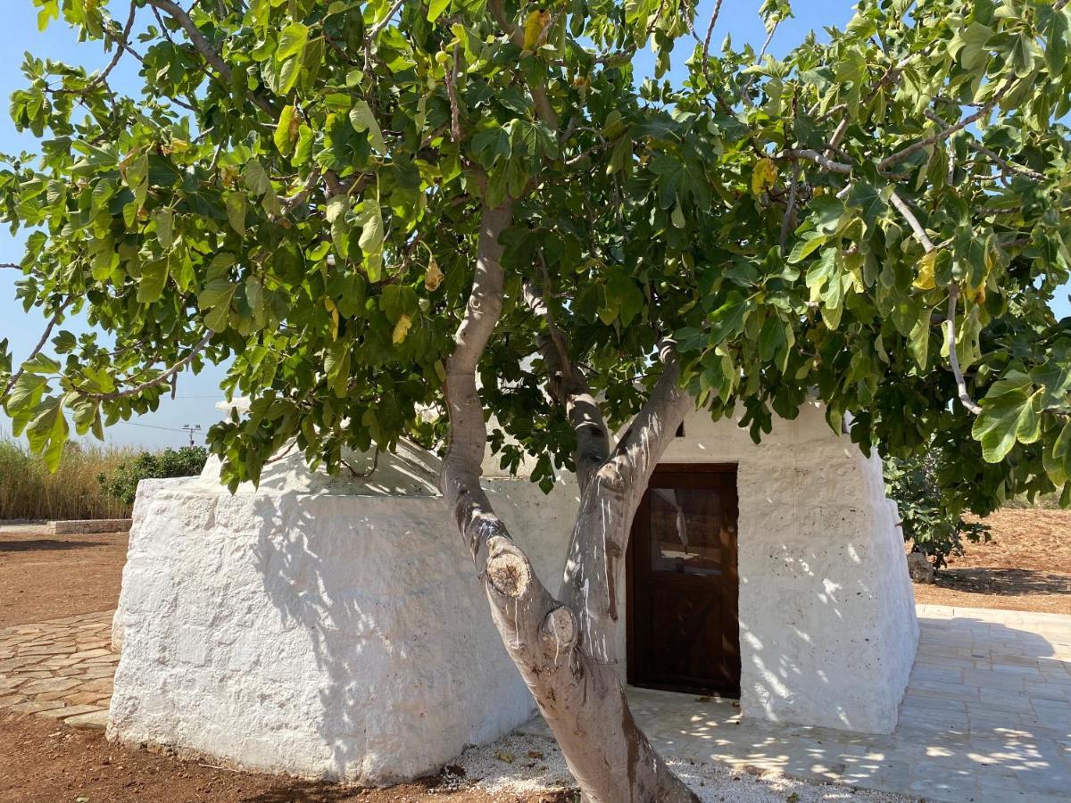 Trullo Seaside Polignano Villa Polignano a Mare Exterior photo